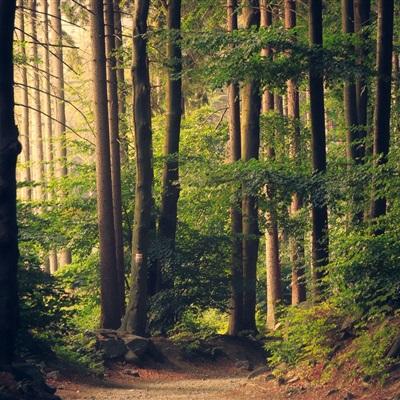 8868体育官方版最新版