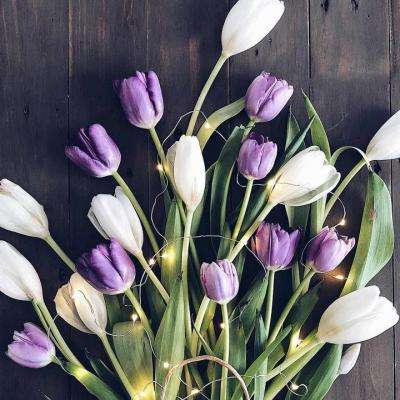 BSport·APP在线登录手机app下载